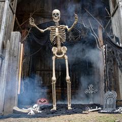 64CM POSEABLE FULL LIFE HUMAN SKELETON HALLOWEEN HAUNTED HOUSE PARTY PROP